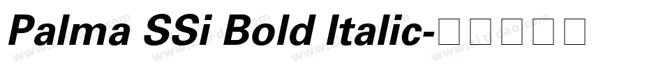 Palma SSi Bold Italic字体转换